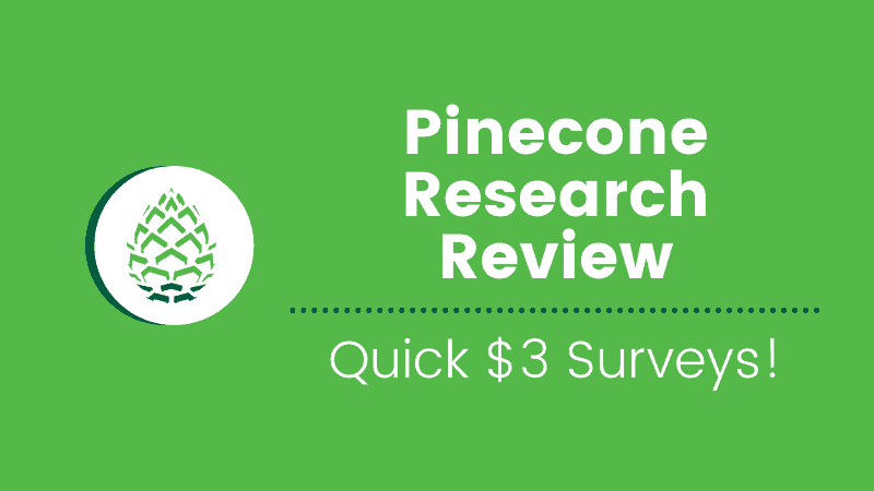 Pinecone Research Review (2022)